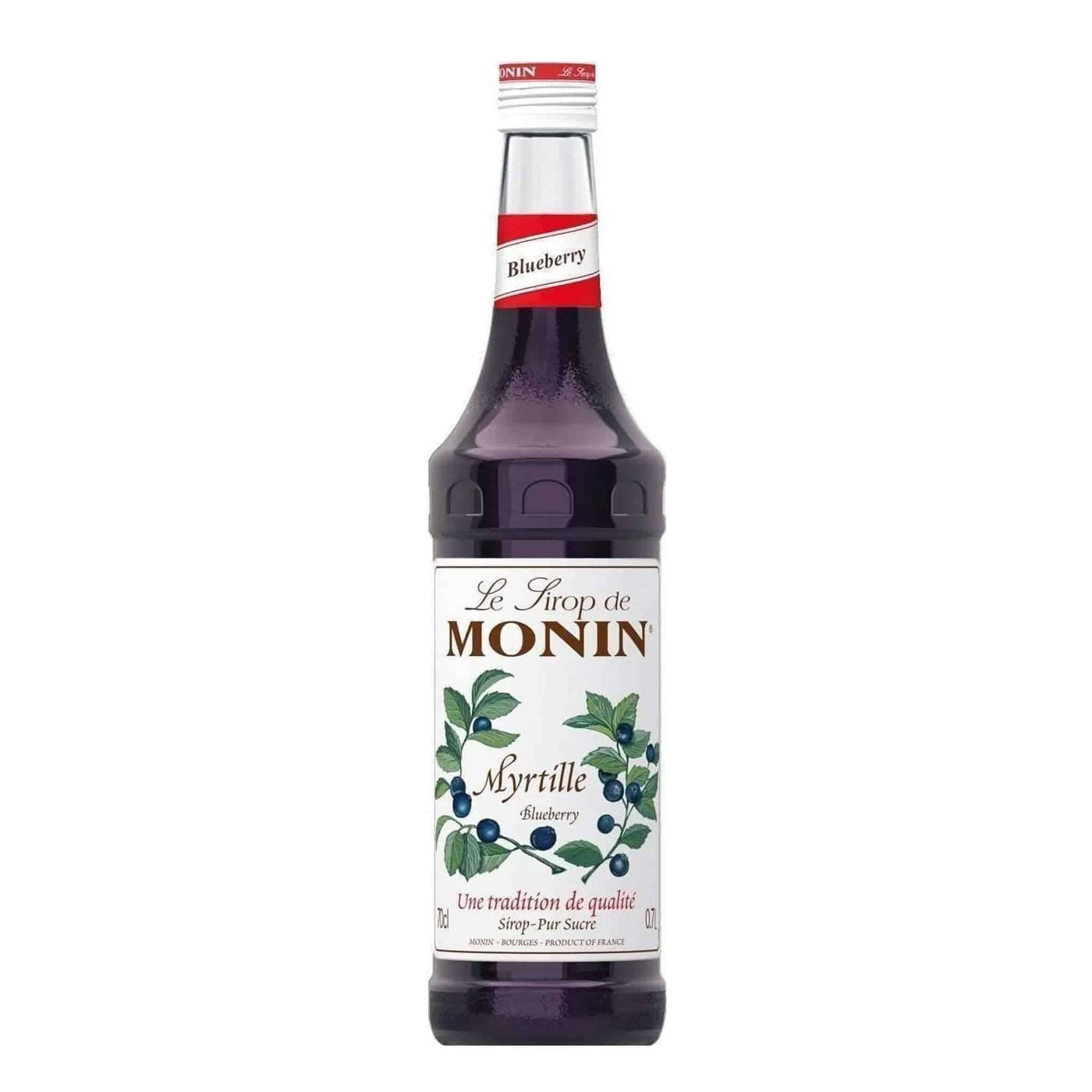 Monin Blueberry Syrup