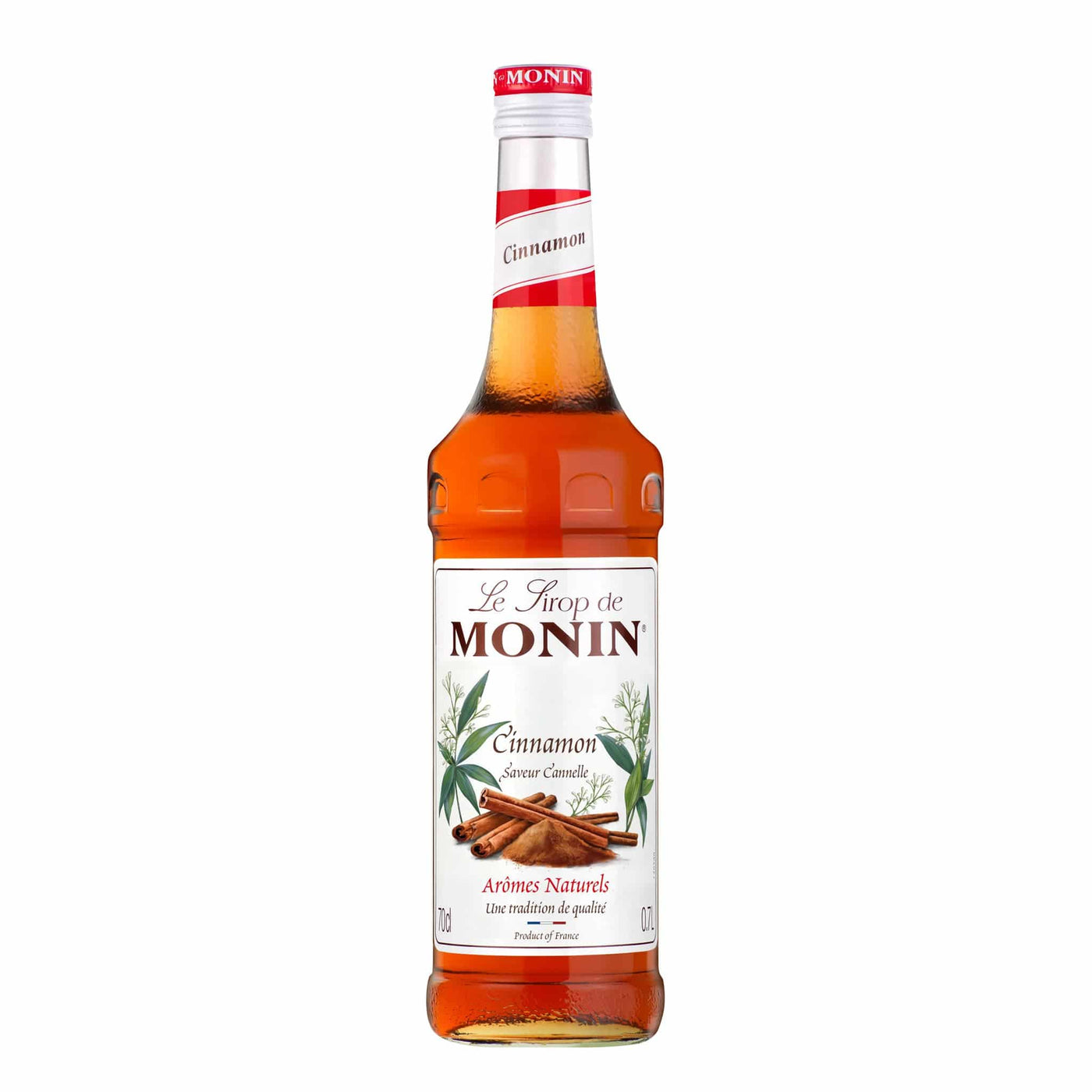 Monin Cinnamon Syrup