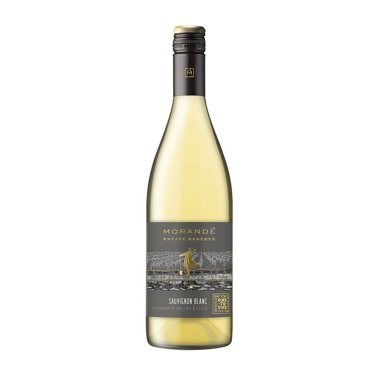 Morande Sauvignon Blanc Estate Reserve