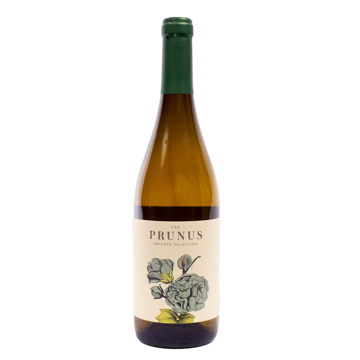 Prunus Branco